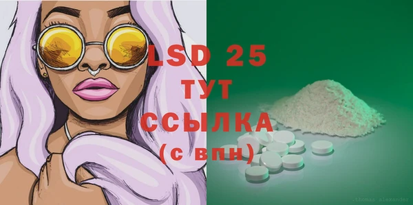 ГАЛЛЮЦИНОГЕННЫЕ ГРИБЫ Беломорск