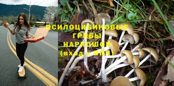 кокаин колумбия Белокуриха