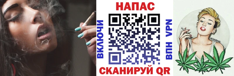 Бошки Шишки VHQ  Купить закладки  Благодарный 